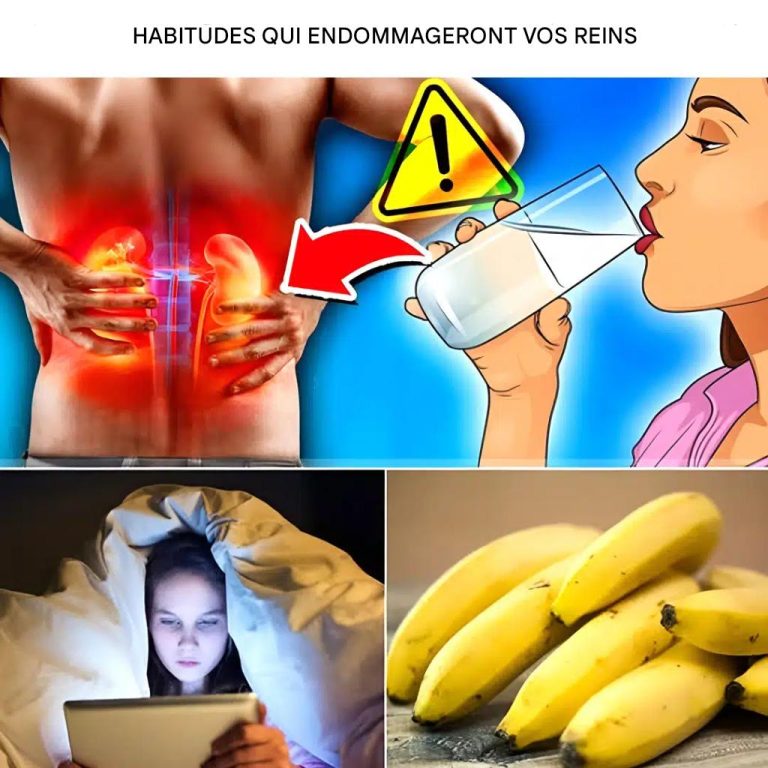 12 mauvaises habitudes qui endommagent vos reins