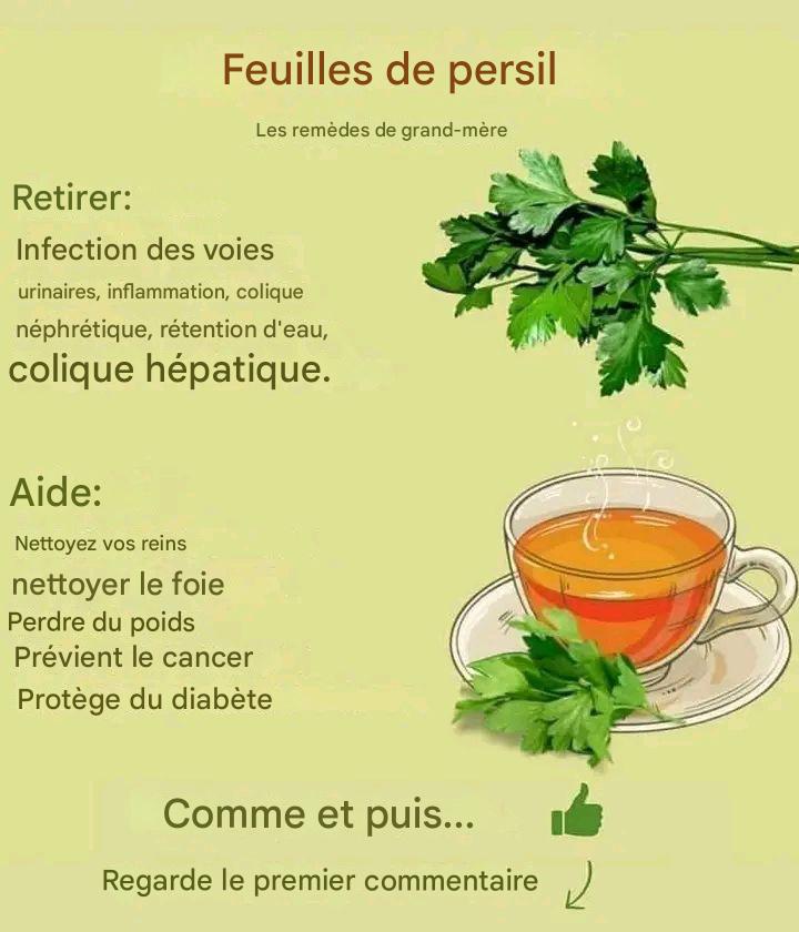 Le persil est un allié vert pour le bien-être, pas un miracle pour affiner