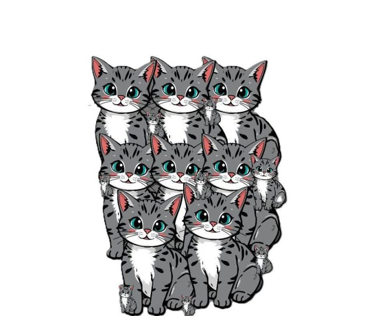 Combien de chats voyez-vous 🤔?
