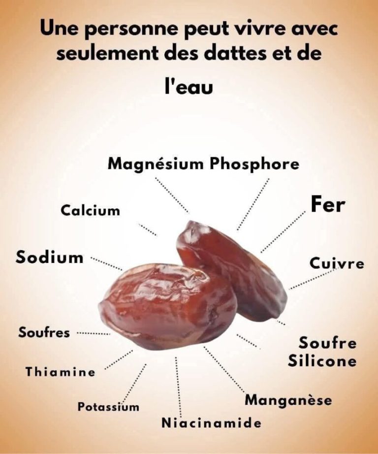 Dattes et eau : un duo vital du désert