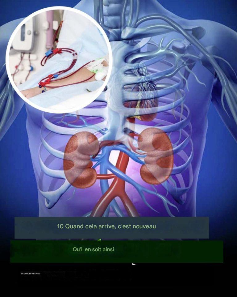 10 signes que vos reins pourraient être en danger