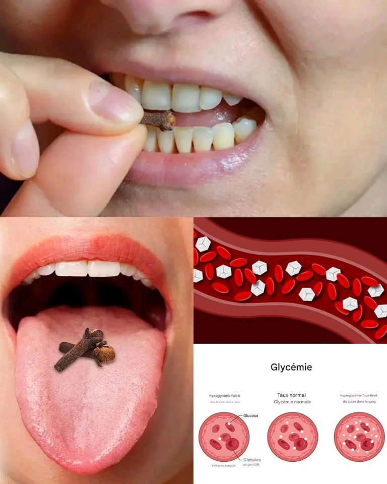 Mâcher des clous de girofle tous les jours : une petite habitude aux bienfaits considérables pour la santé