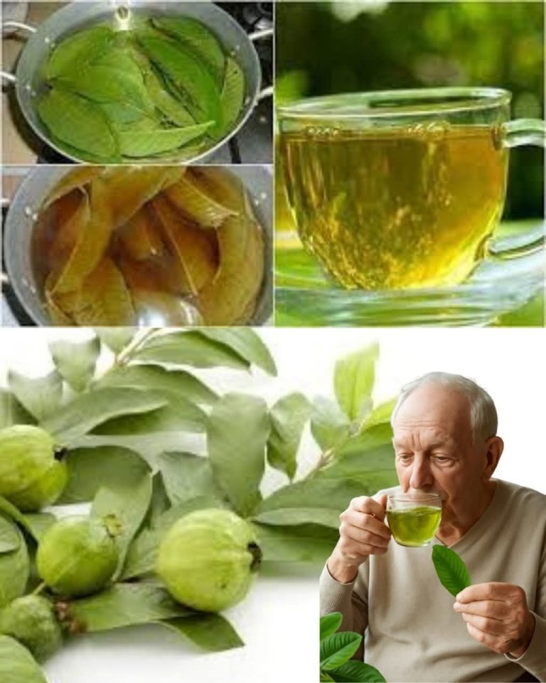 Comment utiliser les feuilles de goyave : 4 recettes maison faciles + 30 bienfaits doux